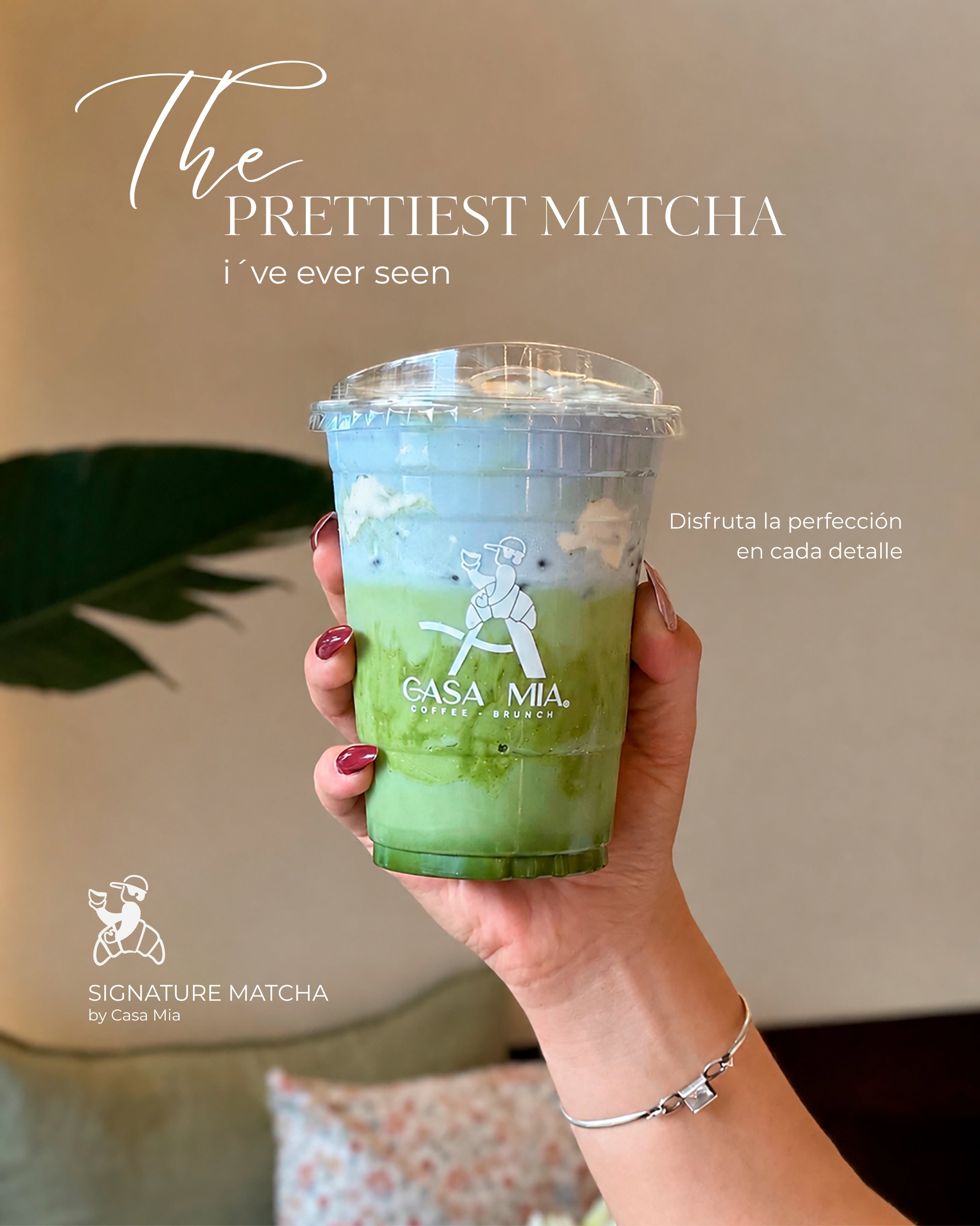 Matcha ceremonial CASA MIA en degradado azul y verde